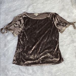 The Outfit Taupe Velvet Top